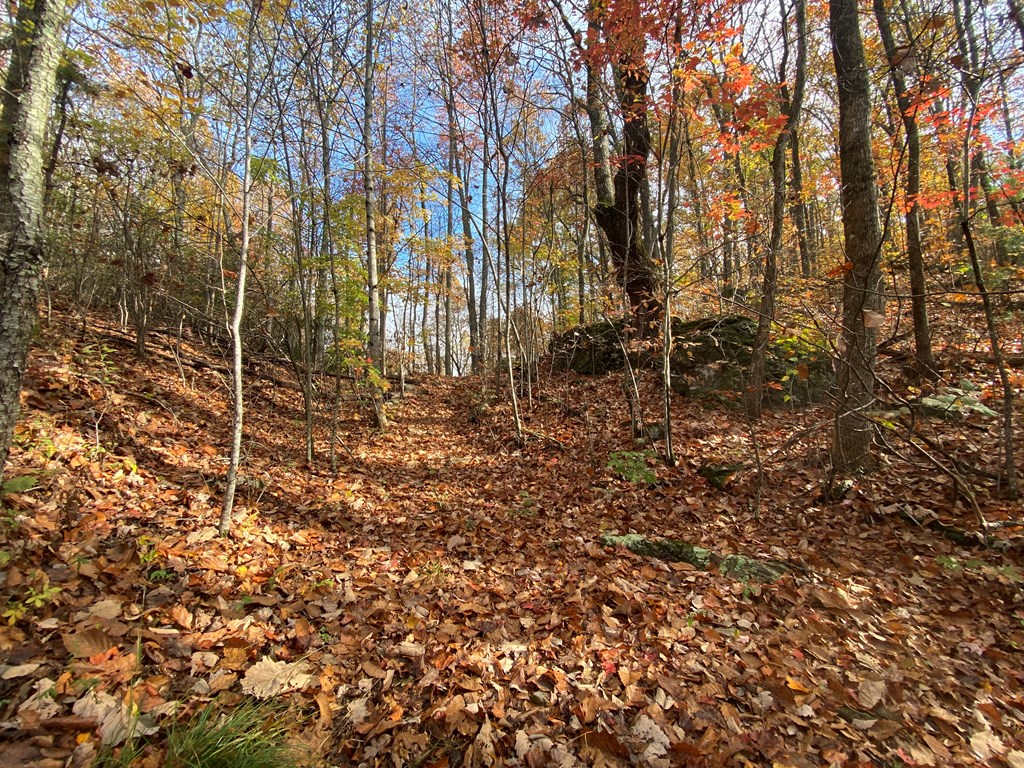 N Upper Bell Creek Road #TR D, HAYESVILLE, North Carolina image 32