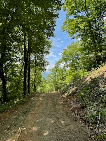 N Upper Bell Creek Road #TR D, HAYESVILLE, North Carolina image 43