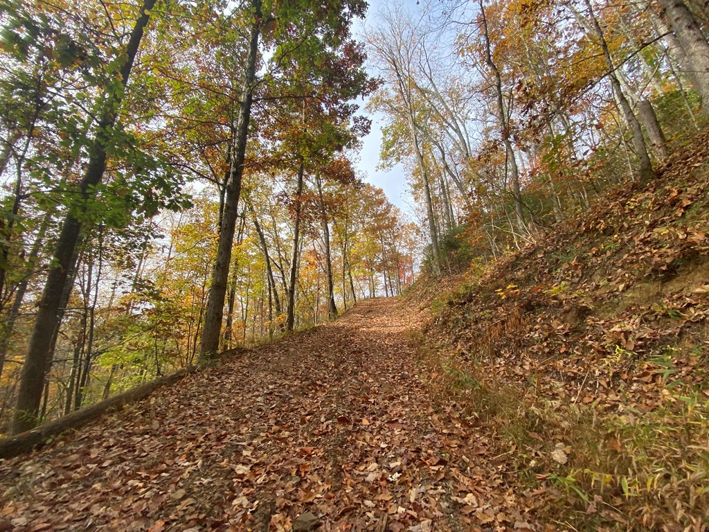 N Upper Bell Creek Road #TR D, HAYESVILLE, North Carolina image 13