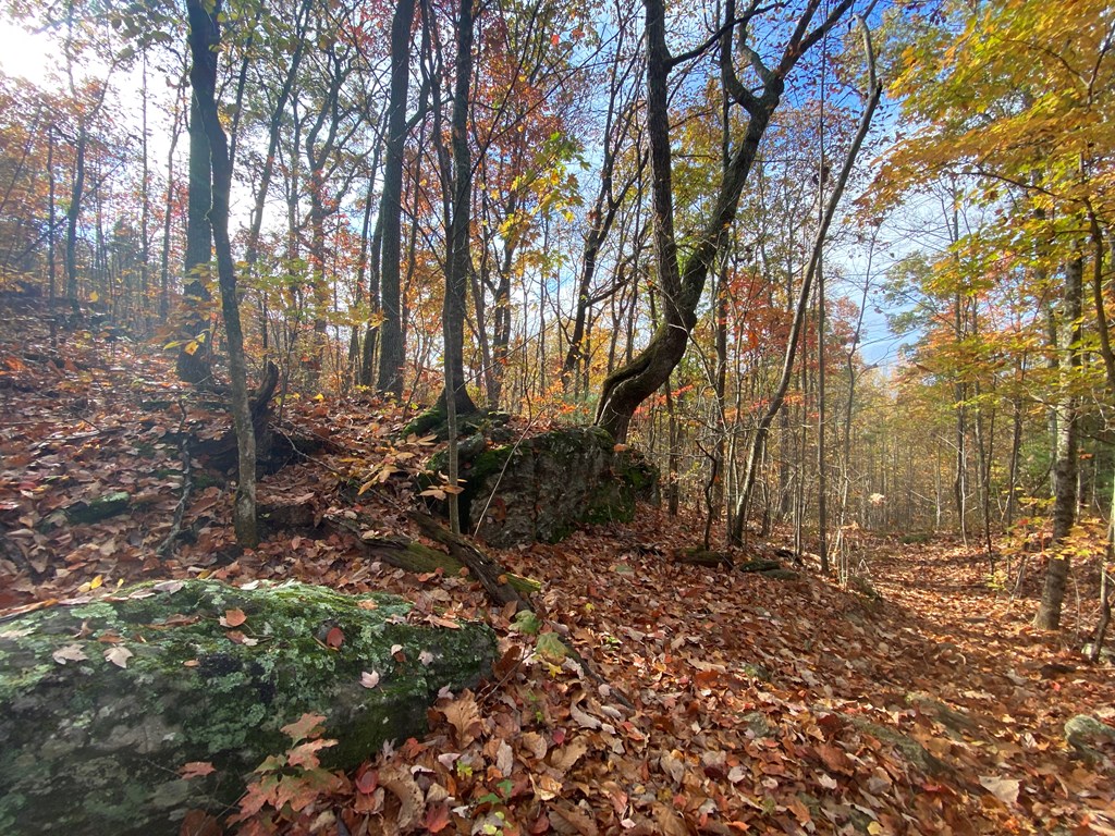 N Upper Bell Creek Road #TR D, HAYESVILLE, North Carolina image 33