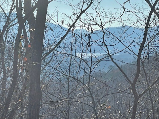 N Upper Bell Creek Road #TR D, HAYESVILLE, North Carolina image 4