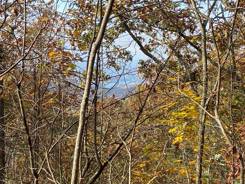 N Upper Bell Creek Road #TR D, HAYESVILLE, North Carolina image 36
