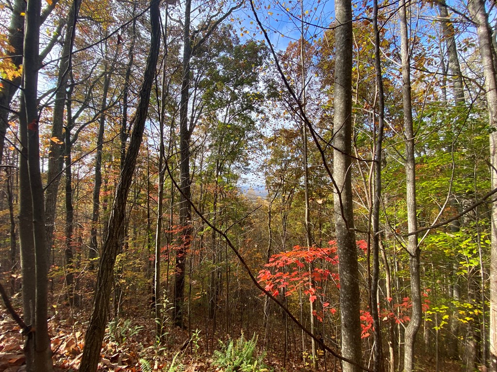 N Upper Bell Creek Road #TR D, HAYESVILLE, North Carolina image 28