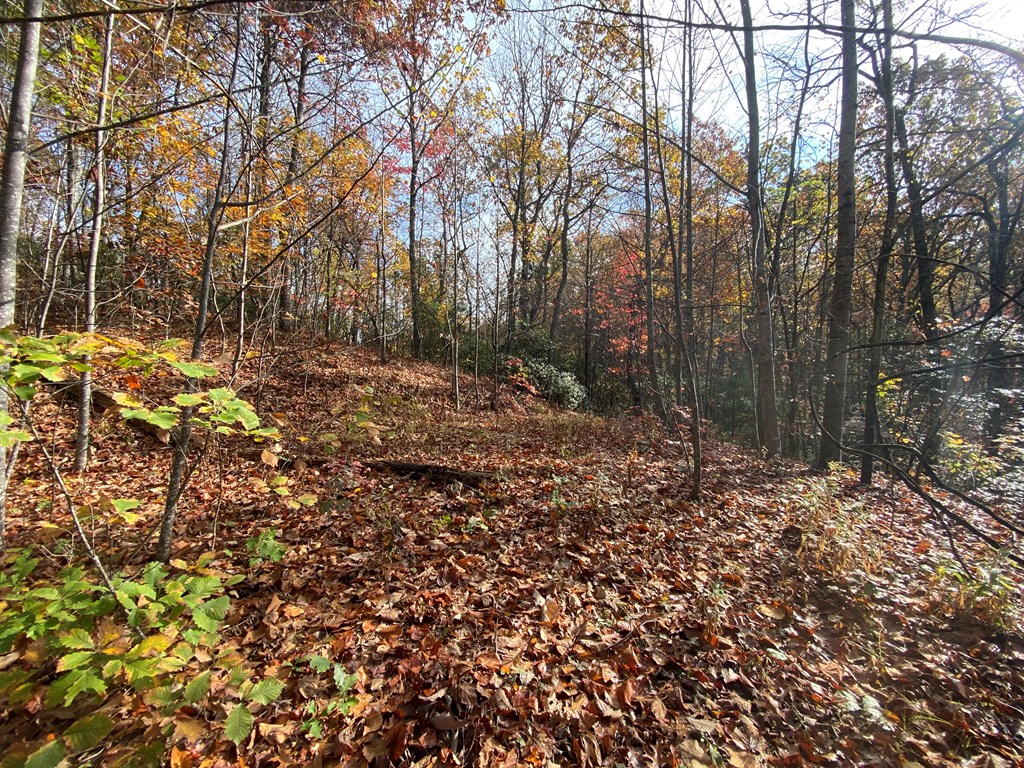 N Upper Bell Creek Road #TR D, HAYESVILLE, North Carolina image 37