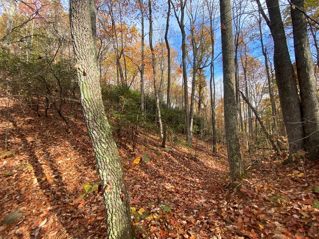 N Upper Bell Creek Road #TR D, HAYESVILLE, North Carolina image 34