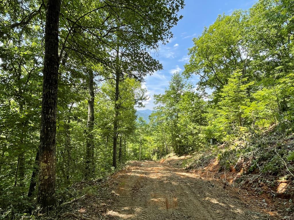N Upper Bell Creek Road #TR D, HAYESVILLE, North Carolina image 1