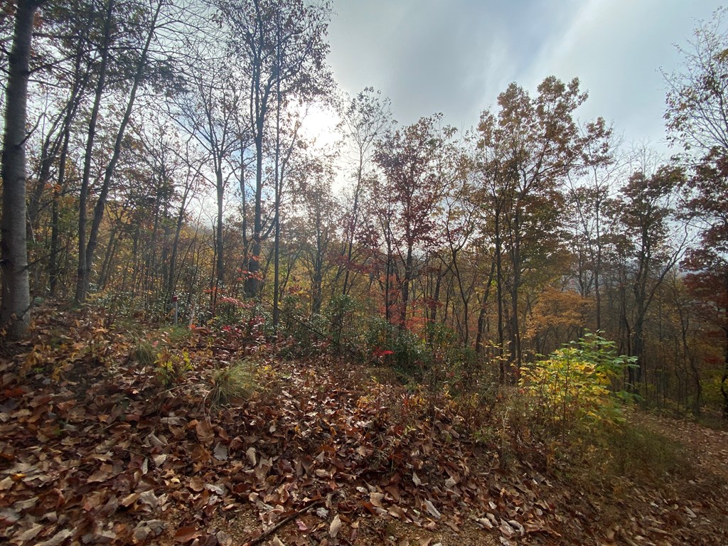 N Upper Bell Creek Road #TR D, HAYESVILLE, North Carolina image 18