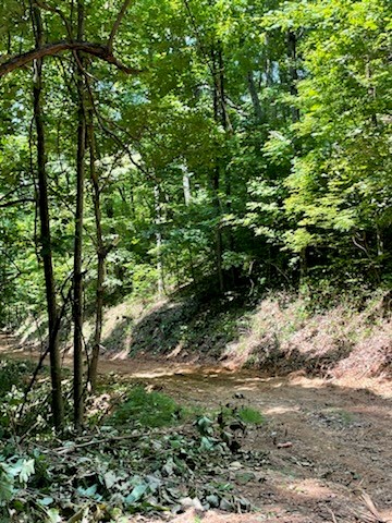 N Upper Bell Creek Road #TR D, HAYESVILLE, North Carolina image 48