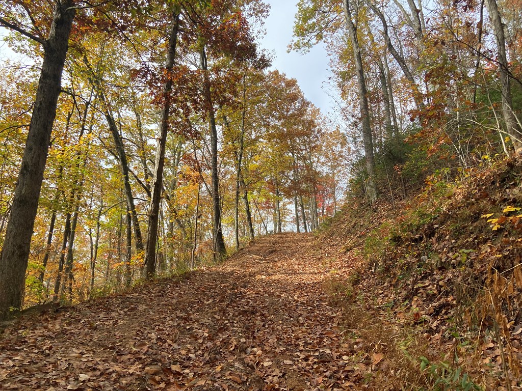 N Upper Bell Creek Road #TR D, HAYESVILLE, North Carolina image 14