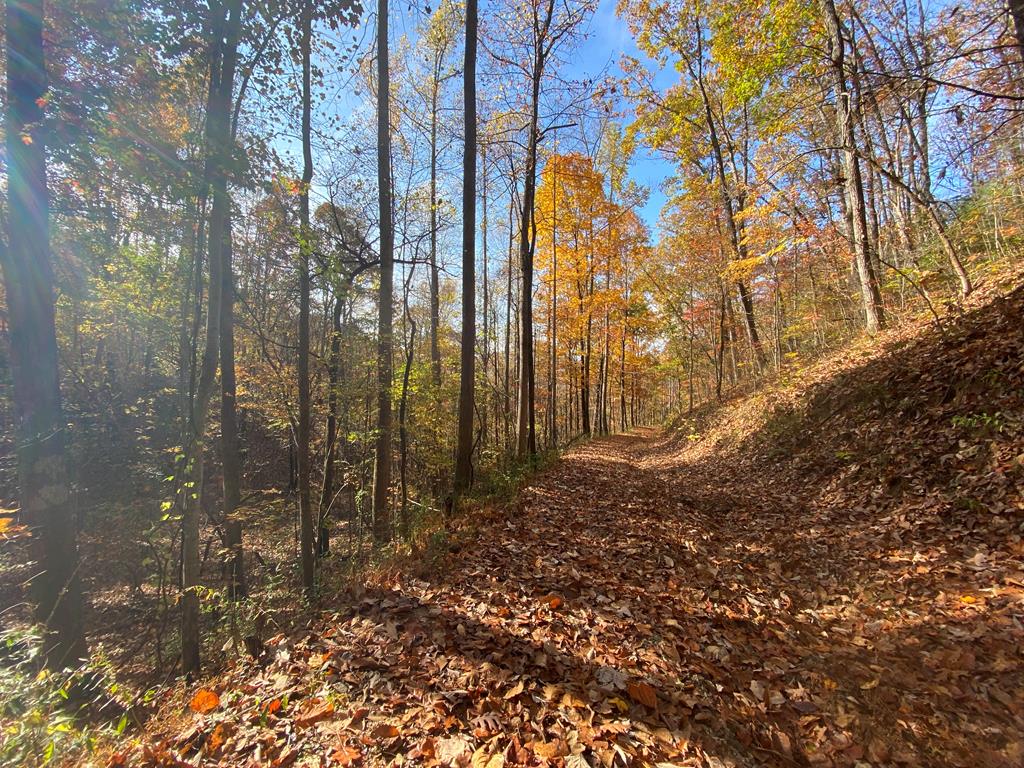 N Upper Bell Creek Road #TR D, HAYESVILLE, North Carolina image 49
