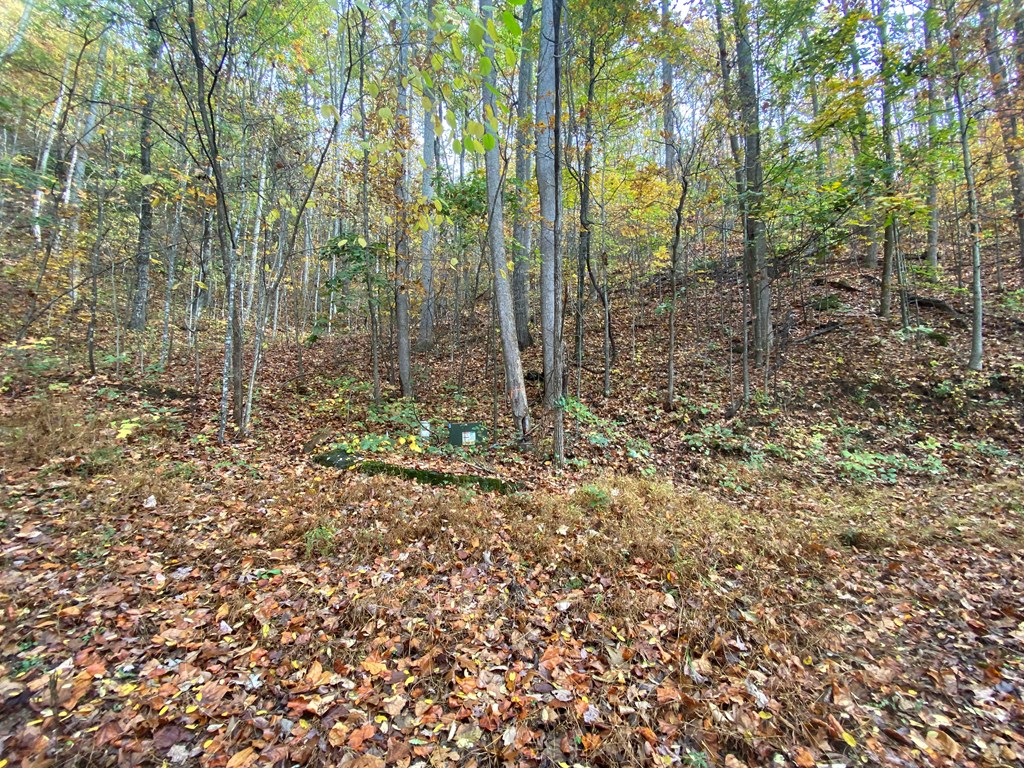 N Upper Bell Creek Road #TR D, HAYESVILLE, North Carolina image 10