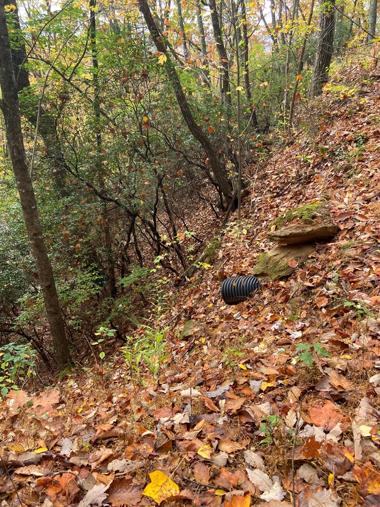 N Upper Bell Creek Road #TR D, HAYESVILLE, North Carolina image 41