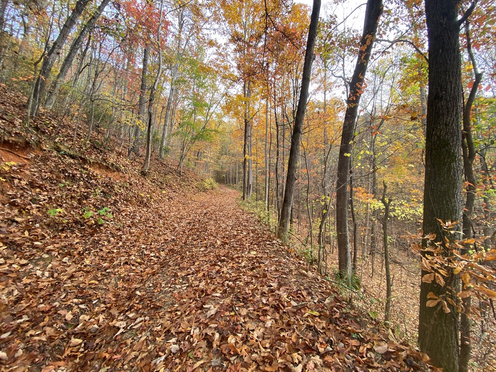 N Upper Bell Creek Road #TR D, HAYESVILLE, North Carolina image 8