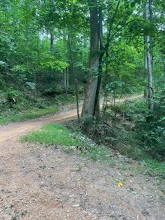 N Upper Bell Creek Road #TR D, HAYESVILLE, North Carolina image 46