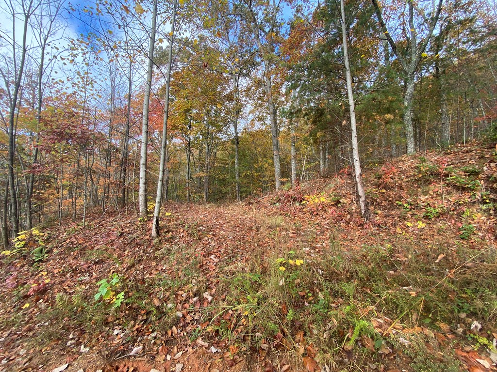 N Upper Bell Creek Road #TR D, HAYESVILLE, North Carolina image 20