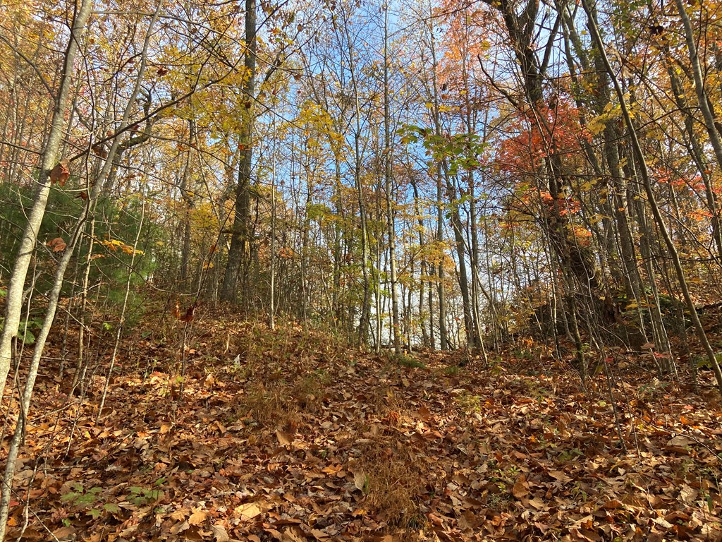N Upper Bell Creek Road #TR D, HAYESVILLE, North Carolina image 30