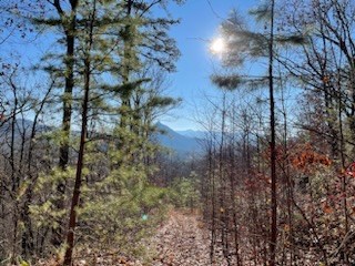 N Upper Bell Creek Road #TR D, HAYESVILLE, North Carolina image 2