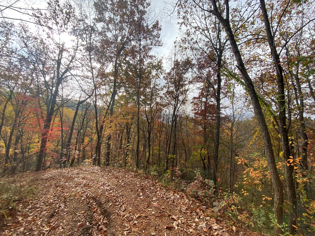 N Upper Bell Creek Road #TR D, HAYESVILLE, North Carolina image 16