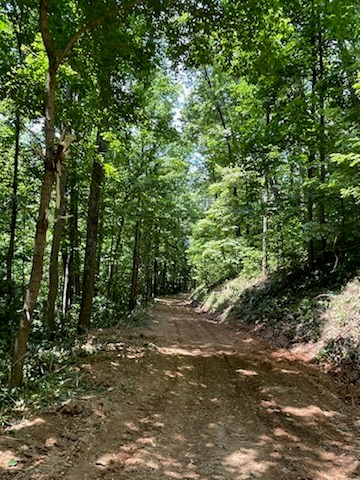 N Upper Bell Creek Road #TR D, HAYESVILLE, North Carolina image 47