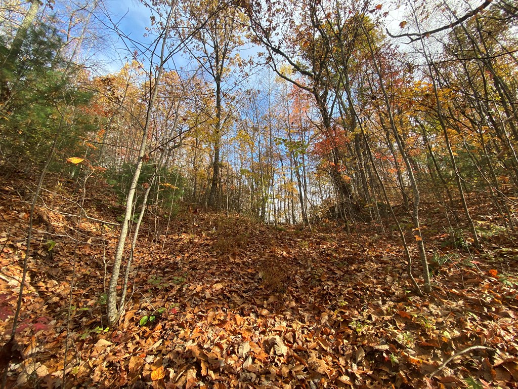 N Upper Bell Creek Road #TR D, HAYESVILLE, North Carolina image 31
