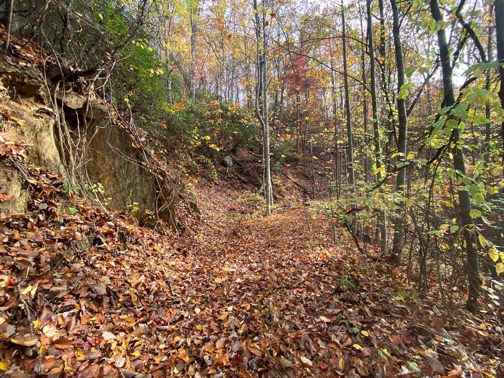 N Upper Bell Creek Road #TR D, HAYESVILLE, North Carolina image 27