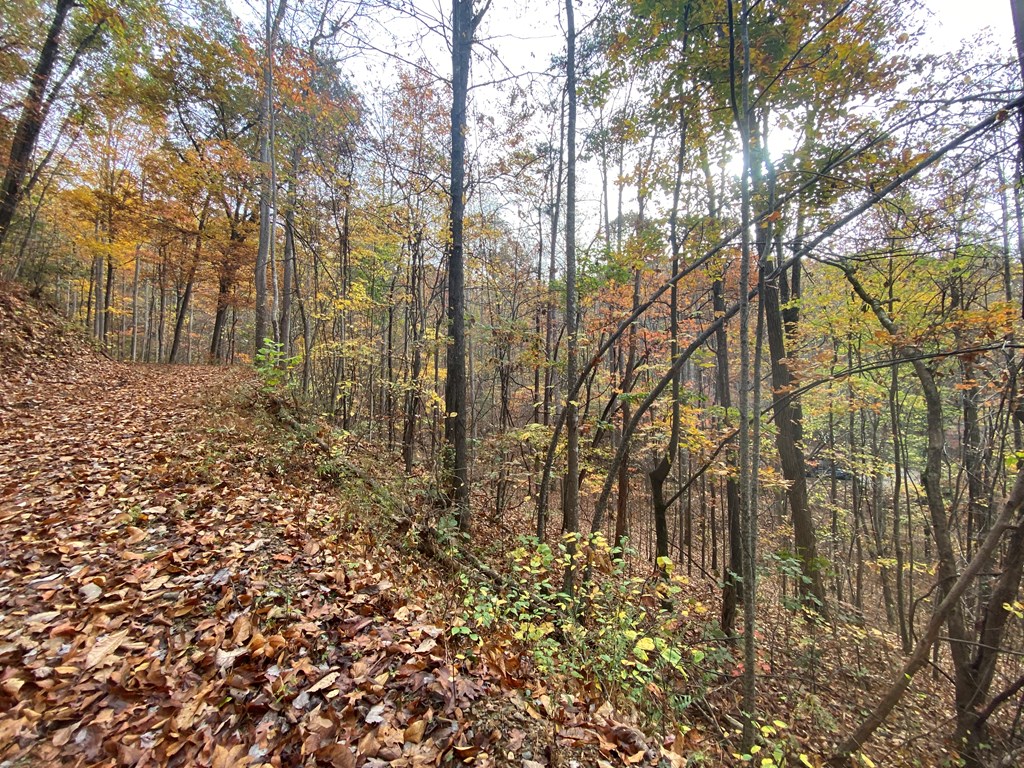 N Upper Bell Creek Road #TR D, HAYESVILLE, North Carolina image 7