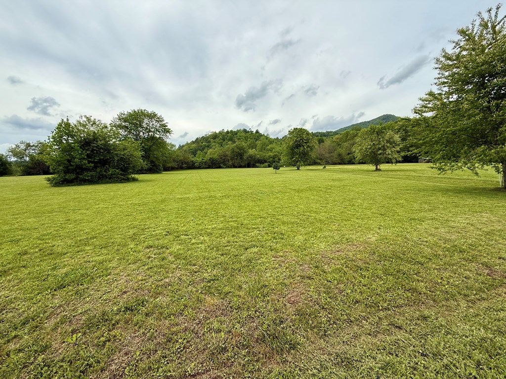 Lot 11 Pauls Meadow Drive #11, HAYESVILLE, North Carolina image 7