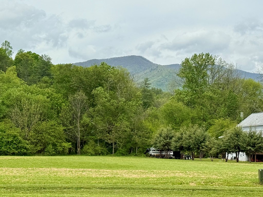 Lot 11 Pauls Meadow Drive #11, HAYESVILLE, North Carolina image 13