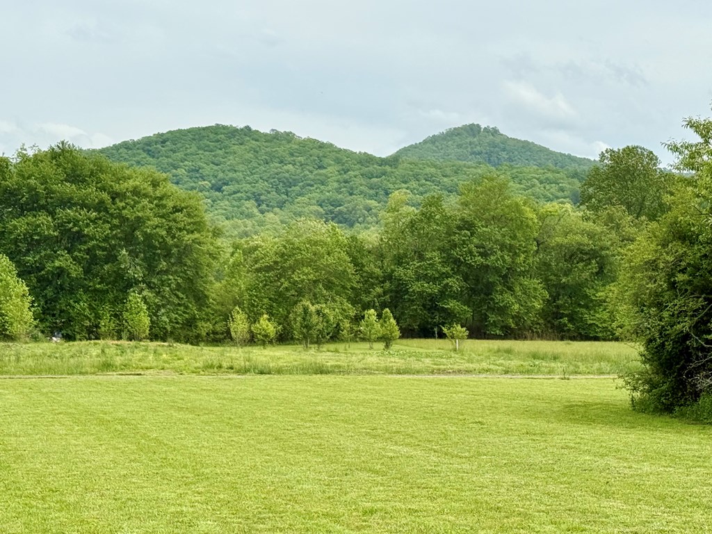 Lot 11 Pauls Meadow Drive #11, HAYESVILLE, North Carolina image 4