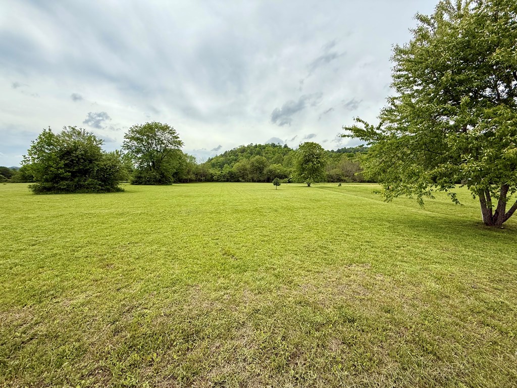 Lot 11 Pauls Meadow Drive #11, HAYESVILLE, North Carolina image 8