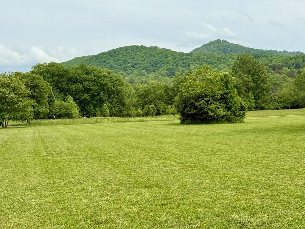 Lot 11 Pauls Meadow Drive #11, HAYESVILLE, North Carolina image 1