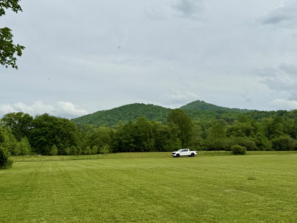Lot 11 Pauls Meadow Drive #11, HAYESVILLE, North Carolina image 11