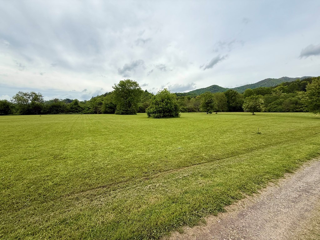 Lot 11 Pauls Meadow Drive #11, HAYESVILLE, North Carolina image 6