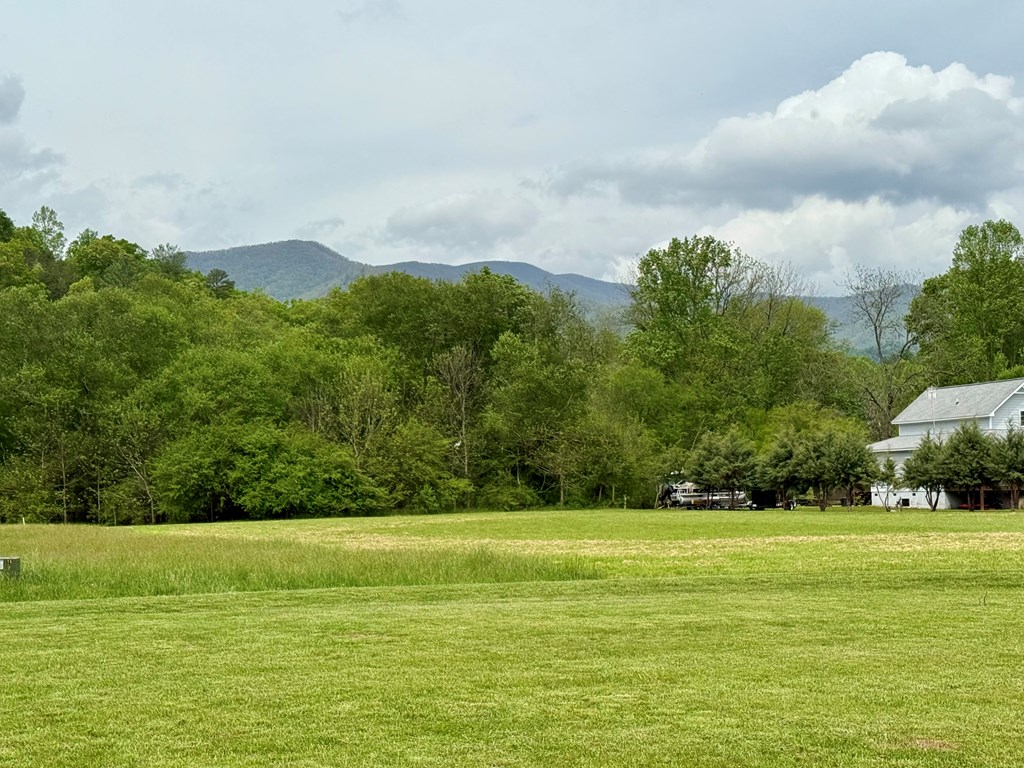 Lot 11 Pauls Meadow Drive #11, HAYESVILLE, North Carolina image 14