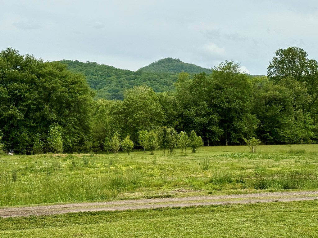 Lot 11 Pauls Meadow Drive #11, HAYESVILLE, North Carolina image 9