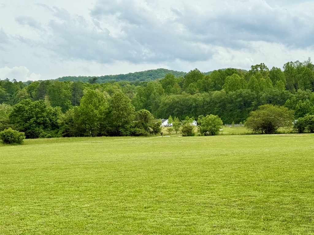 Lot 11 Pauls Meadow Drive #11, HAYESVILLE, North Carolina image 12