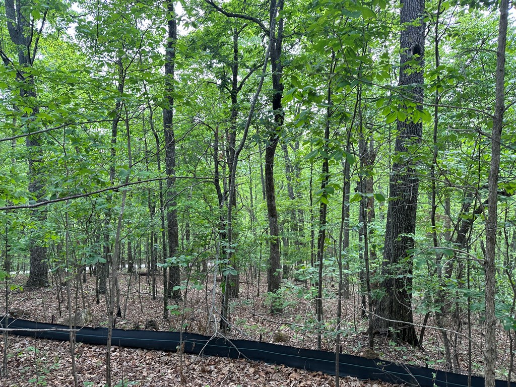 Lot 4 Bushy Hills #4, WARNE, North Carolina image 8