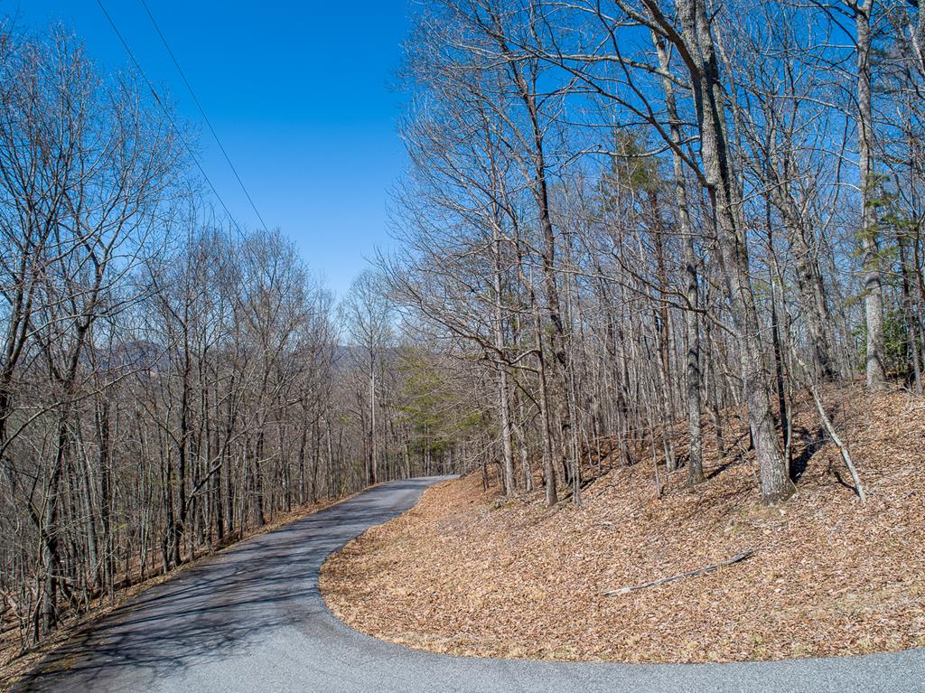 Lot 4 Bushy Hills #4, WARNE, North Carolina image 10