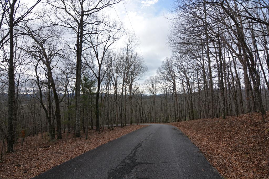 Lot 4 Bushy Hills #4, WARNE, North Carolina image 27