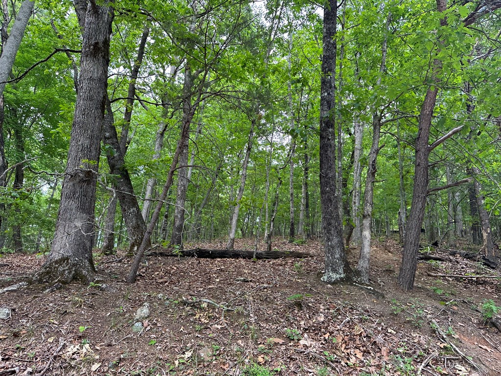 Lot 4 Bushy Hills #4, WARNE, North Carolina image 7