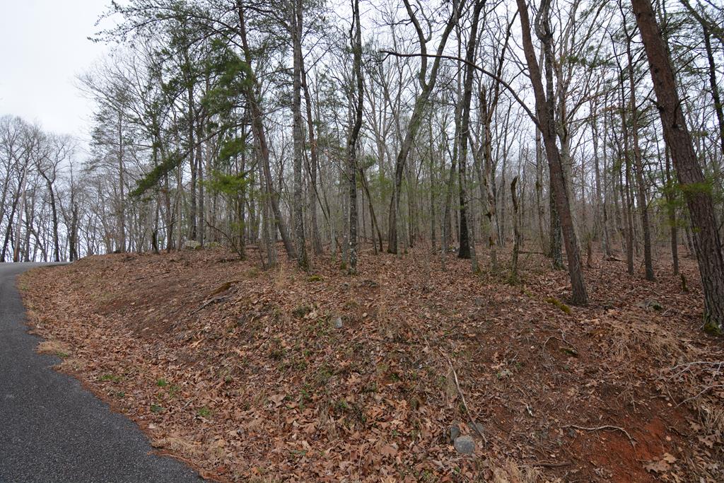 Lot 4 Bushy Hills #4, WARNE, North Carolina image 22