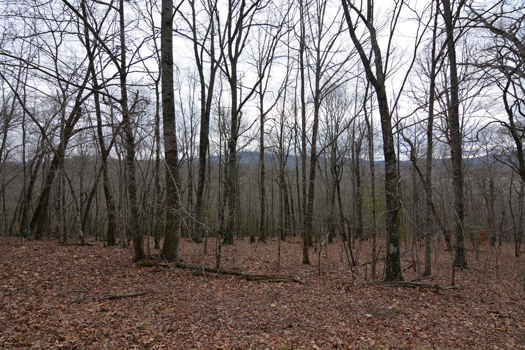 Lot 4 Bushy Hills #4, WARNE, North Carolina image 29