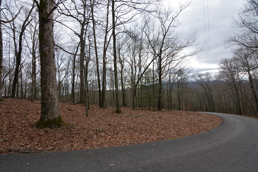 Lot 4 Bushy Hills #4, WARNE, North Carolina image 25