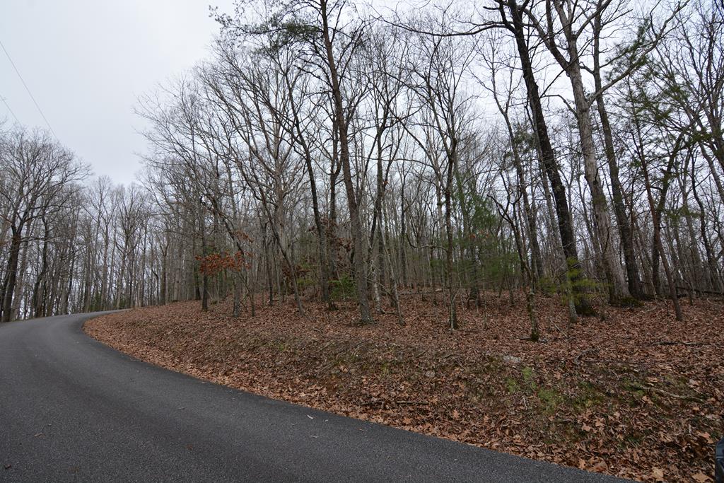 Lot 4 Bushy Hills #4, WARNE, North Carolina image 23