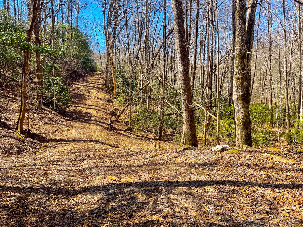 3088 Little Choga Rd, TOPTON, North Carolina image 24