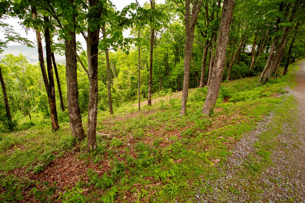 Lt 61 Wilderness Creek Falls, MURPHY, North Carolina image 19