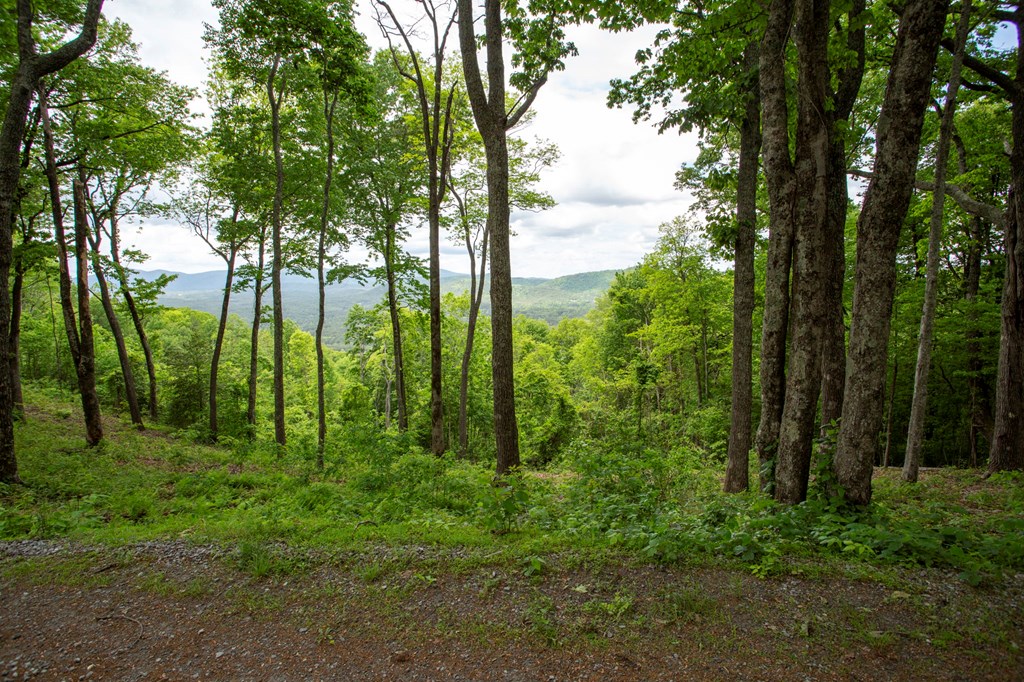 Lt 61 Wilderness Creek Falls, MURPHY, North Carolina image 18