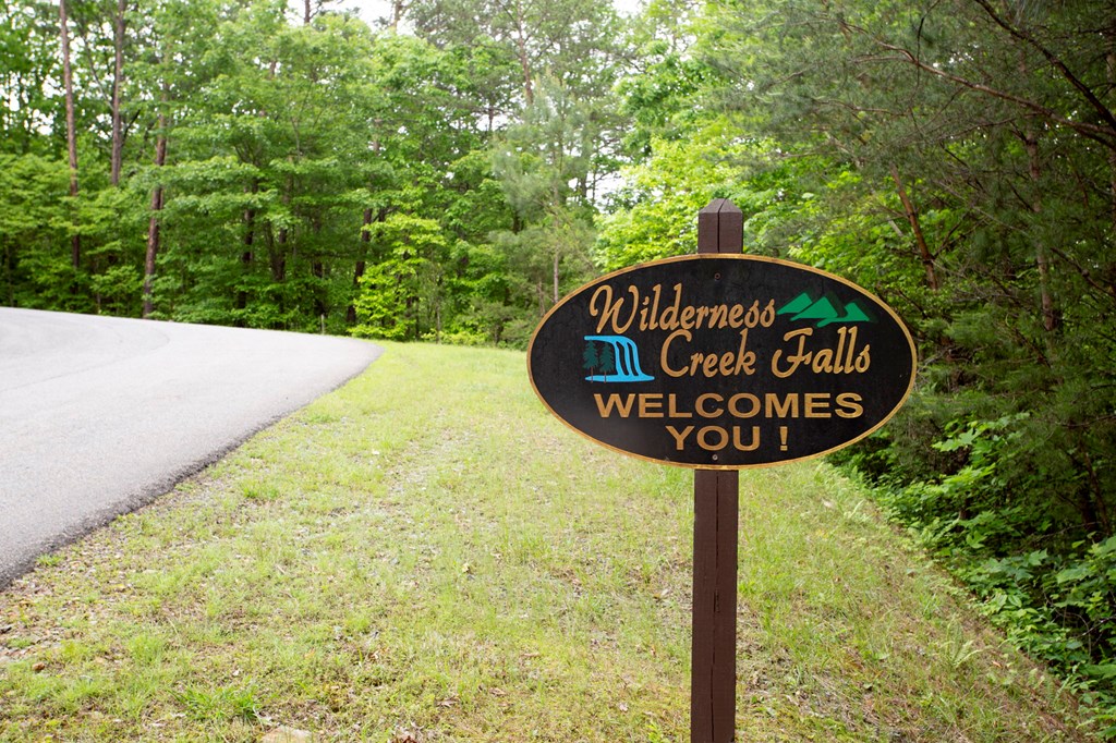 Lt 61 Wilderness Creek Falls, MURPHY, North Carolina image 35