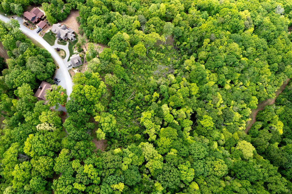 Lt 61 Wilderness Creek Falls, MURPHY, North Carolina image 13