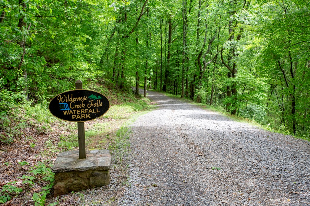 Lt 61 Wilderness Creek Falls, MURPHY, North Carolina image 25